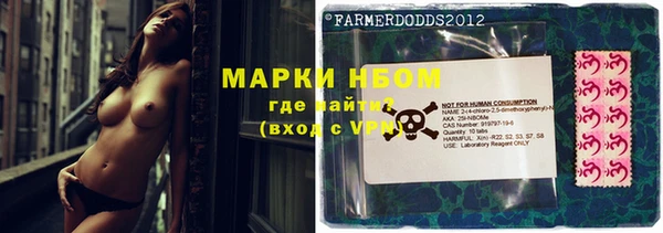 шишки Верхний Тагил