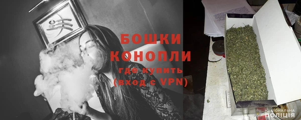 шишки Верхний Тагил