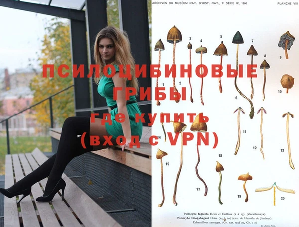 спиды Верхнеуральск