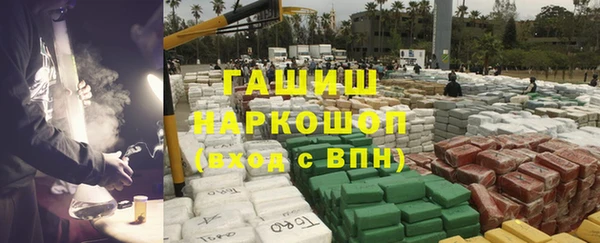 шишки Верхний Тагил