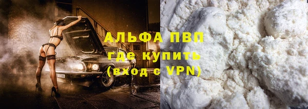 шишки Верхний Тагил