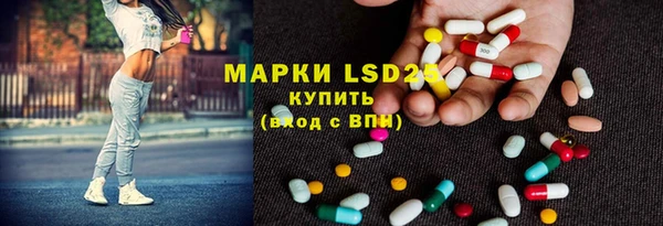 шишки Верхний Тагил