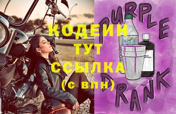 шишки Верхний Тагил
