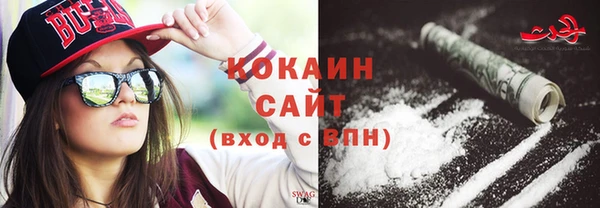 шишки Верхний Тагил
