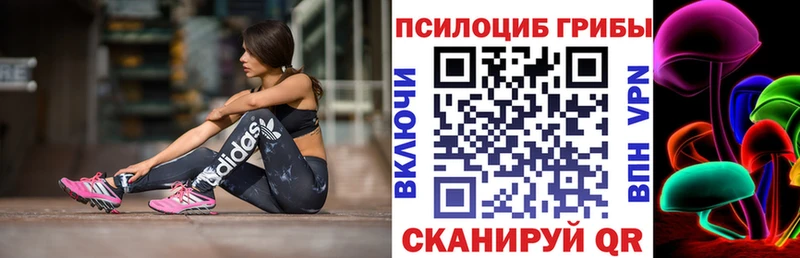 Псилоцибиновые грибы MAGIC MUSHROOMS  Купить  Карачев 